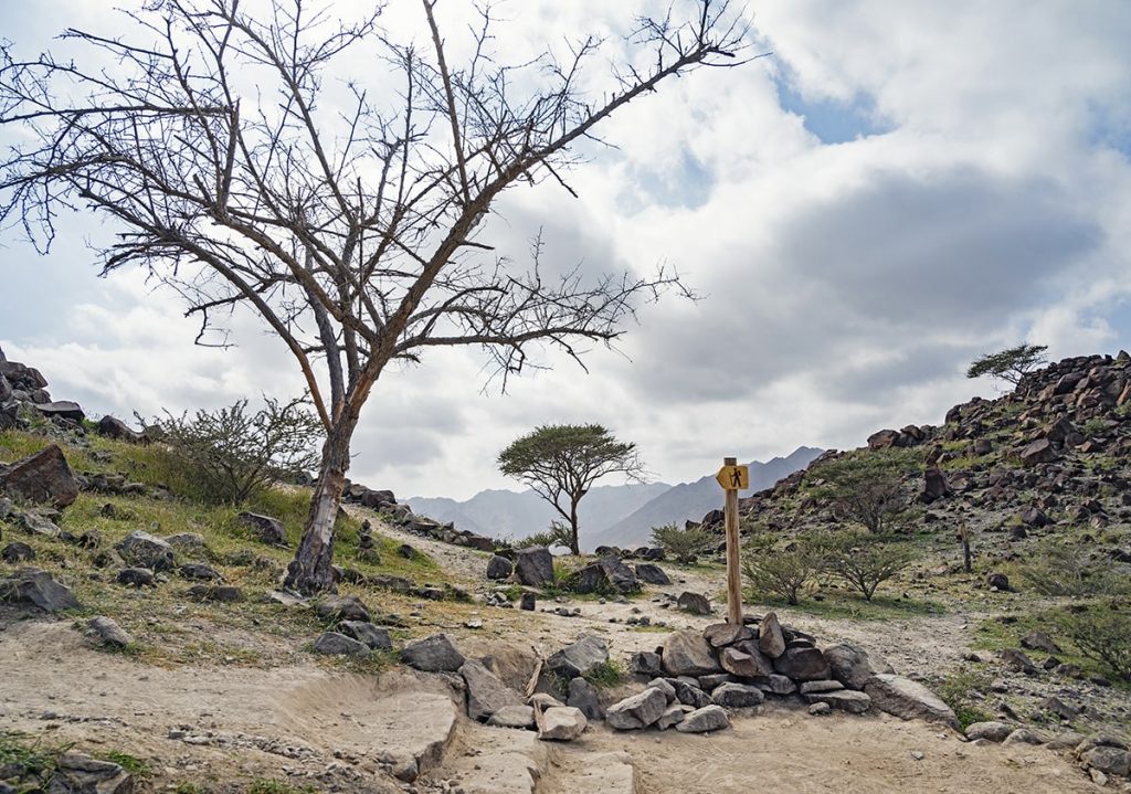 Al Rabi Tower trail in khor faakkan uae
