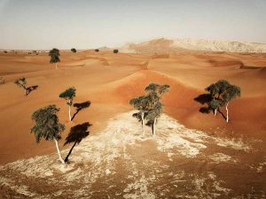 mleiha dunes with fossil rock in the background uae