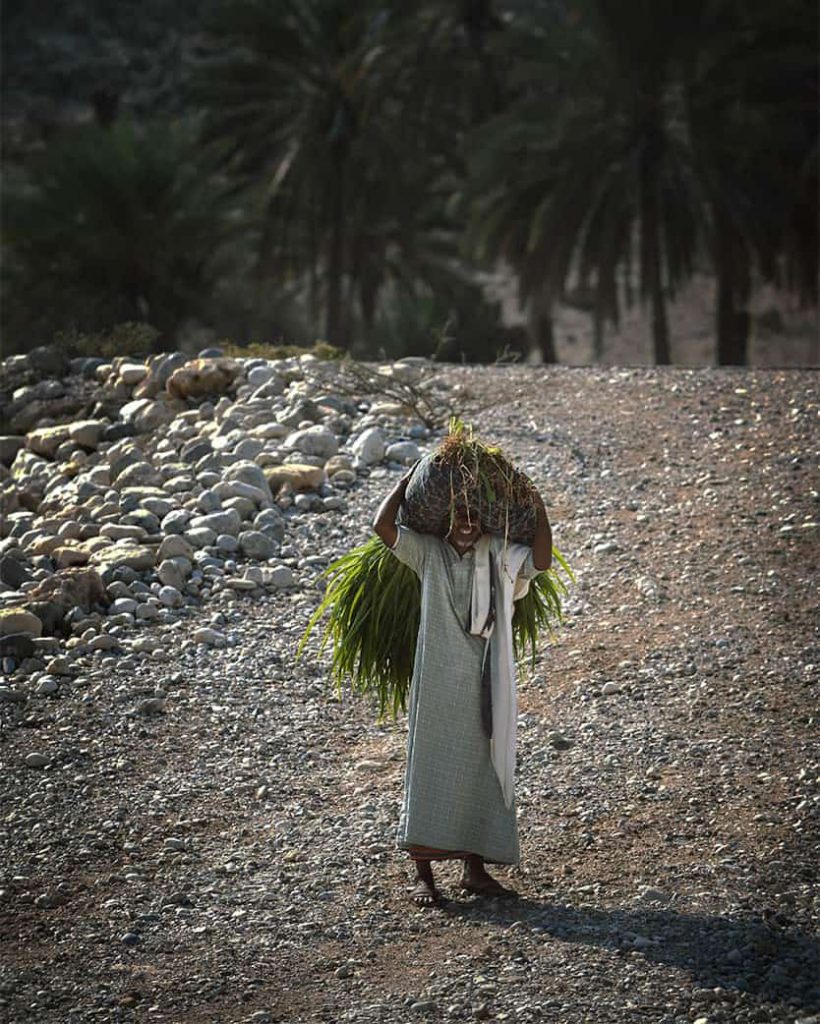 omani man portrait carrying leafs