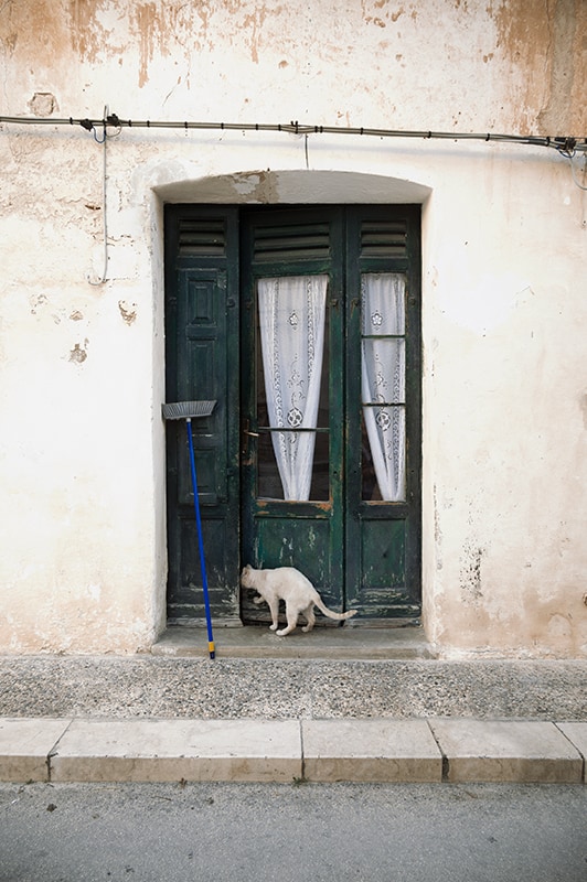cat entering the door in favignana sicily