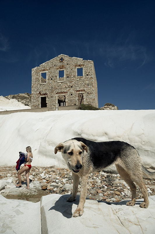 a dog at a white rock with abandoned house in the background and a woman in bikini walking behind