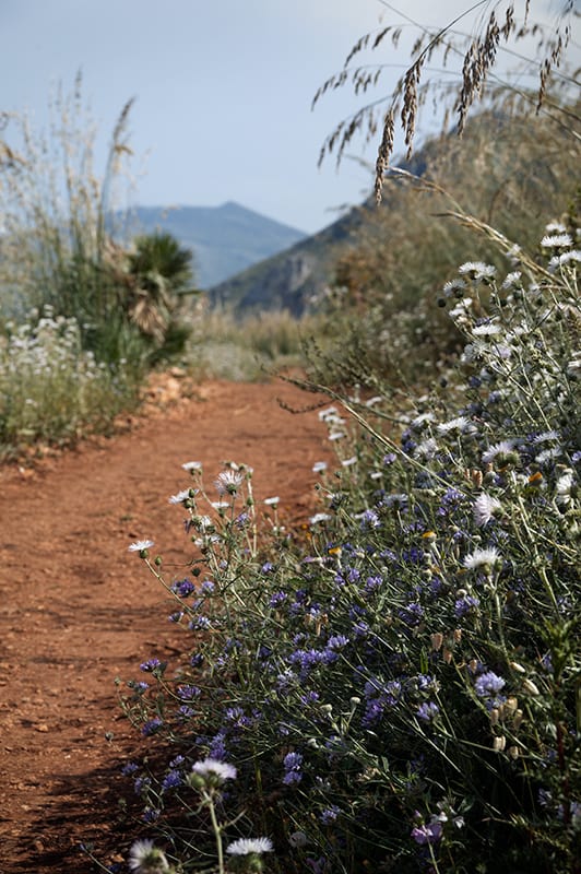 Zingaro nature reserve hike in sicily, trail
