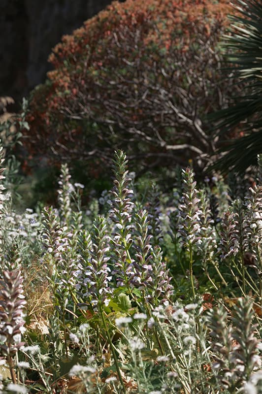 Zingaro nature reserve hike in sicily