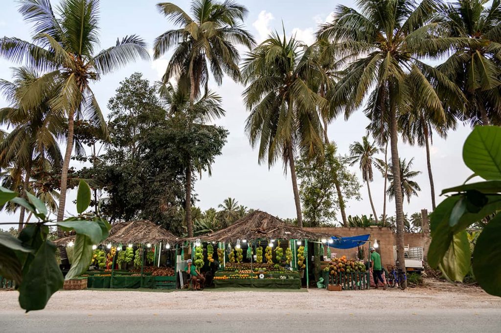 Salalah itinerary and things to do in salalah: coconut huts