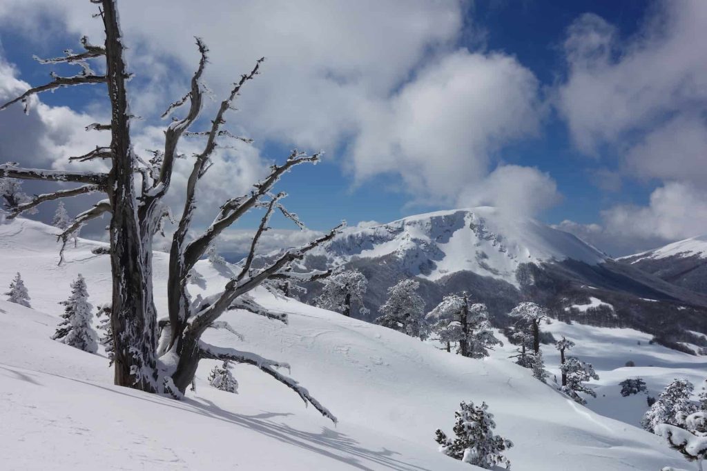 Visit Calabria mountains-Pollino National Park in winter