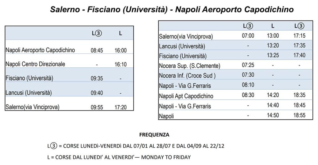 Bus #5003 schedule from Naples Airport to Salerno