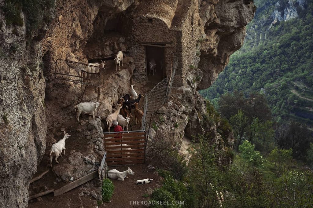 A barn hanging over the cliff at the beggining of the Path of the Gods hike, you can see goats and a shephard