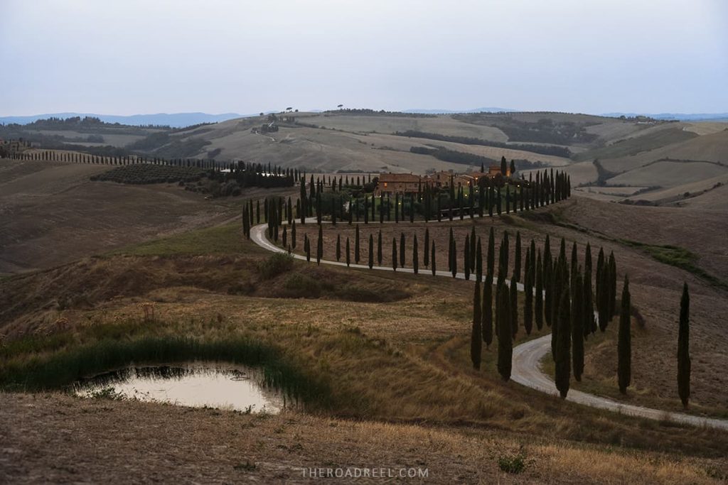 cypres trees lining the windy rad in Tuscany- renting a car in rome