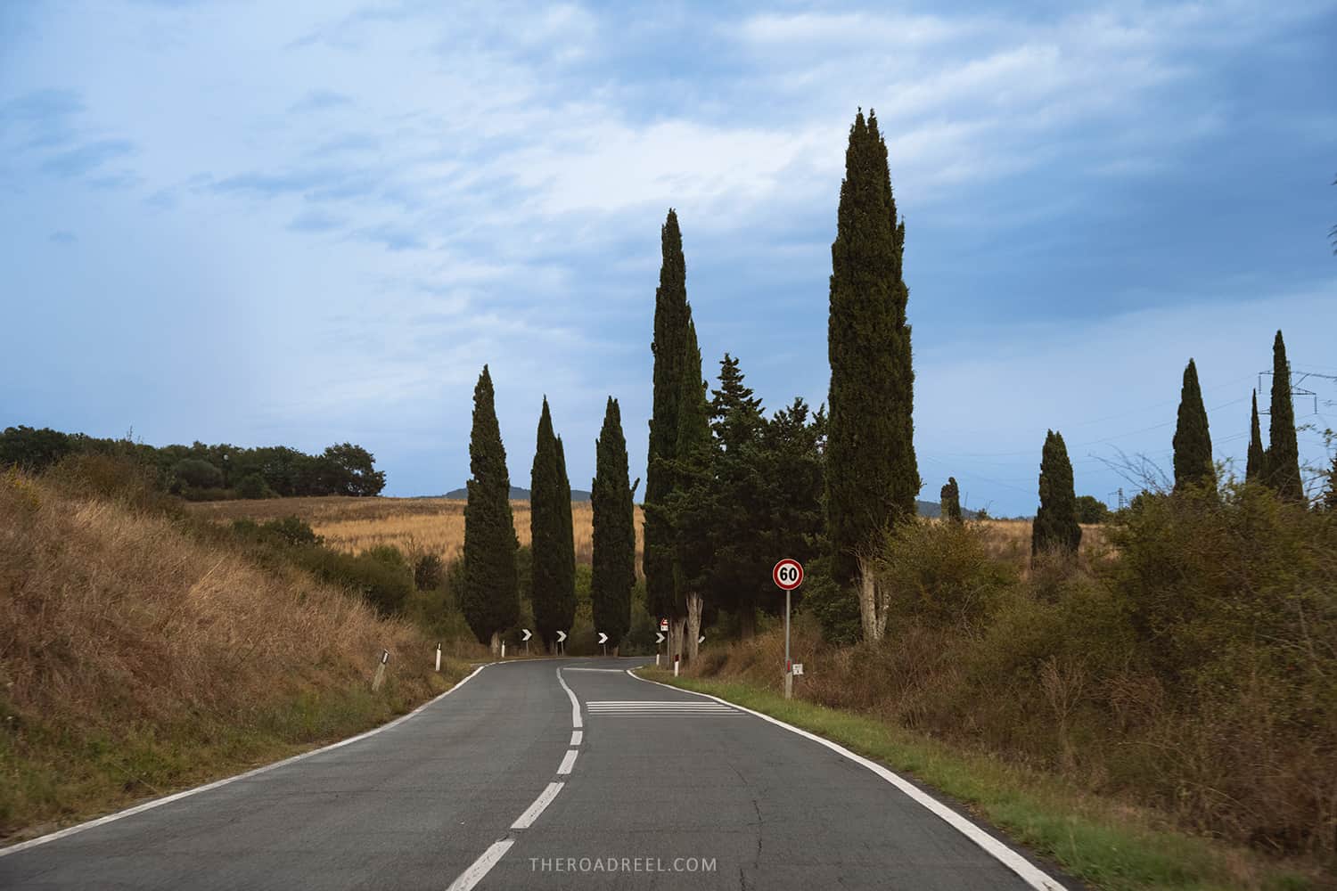 cypres trees in tuscany along the road- renting a car in rome to drive to tuscany
